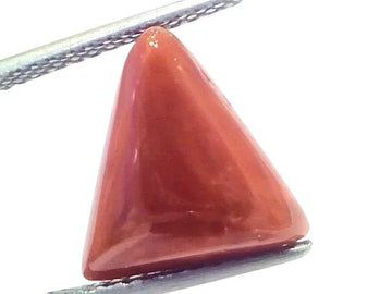 6.12 Ct Natural Italian Triangle Red Coral Trikon Moonga Gemstone - Venus Gems