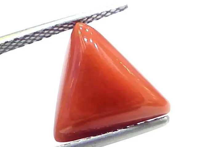 6.22 Ct 10.3 Ratti Natural Italian Triangle Red Coral Moonga Gemstone
