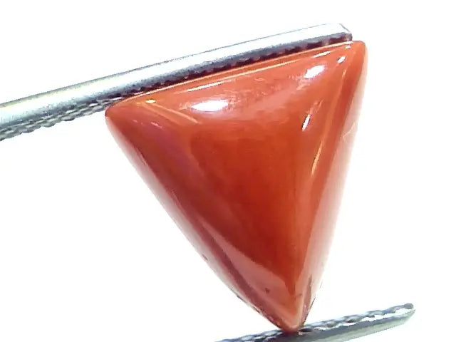 6.22 Ct 10.3 Ratti Natural Italian Triangle Red Coral Moonga Gemstone