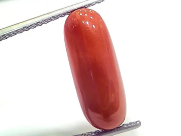 6.18 Ct 6.86 Ratti Natural Italian Red Coral Moonga Gemstone