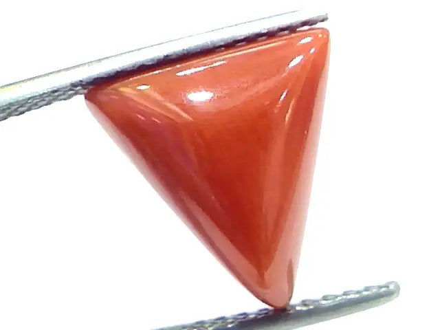 6.23 Ct 10.3 Ratti Natural Italian Triangle Red Coral Moonga Gemstone