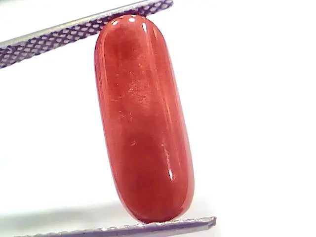 6.18 Ct 6.86 Ratti Natural Italian Red Coral Moonga Gemstone