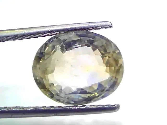 6.27 Ct Certified Unheated Natural Ceylon Yellow Blue Pitambari Sapphire - Venus Gems