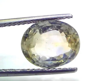 6.27 Ct Certified Unheated Natural Ceylon Yellow Blue Pitambari Sapphire - Venus Gems