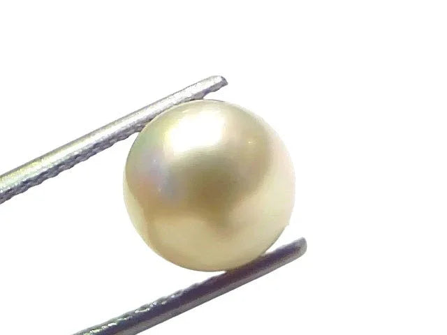 6.27 Ct Natural Certified Real South Sea Pearl Certified Moti - Venus Gems