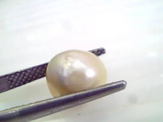 6.26 Ct 25.55 Chaw Natural Real Basra Pearl Moti Certified *RARE