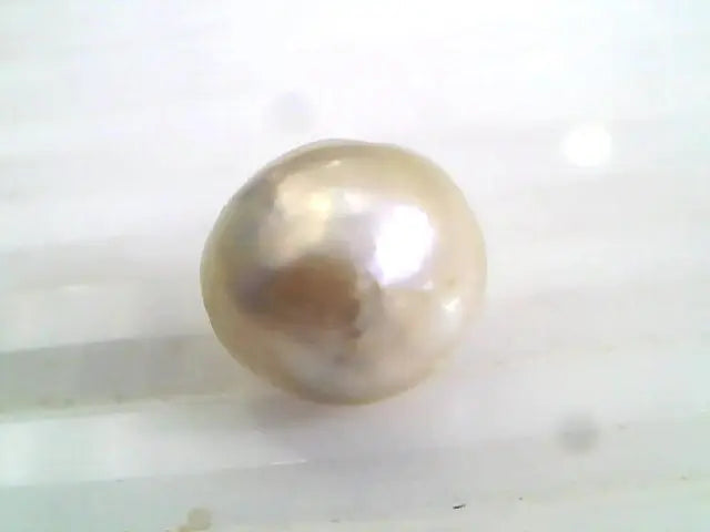 6.26 Ct 25.55 Chaw Natural Real Basra Pearl Moti Certified *RARE