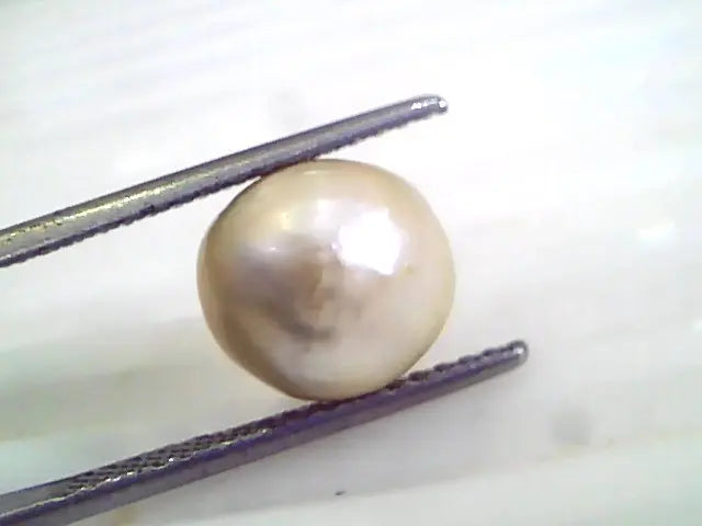 6.26 Ct 25.55 Chaw Natural Real Basra Pearl Moti Certified *RARE