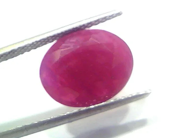 6.30 Ct Certified Unheated Untreated Natural New Burma Ruby - Venus Gems