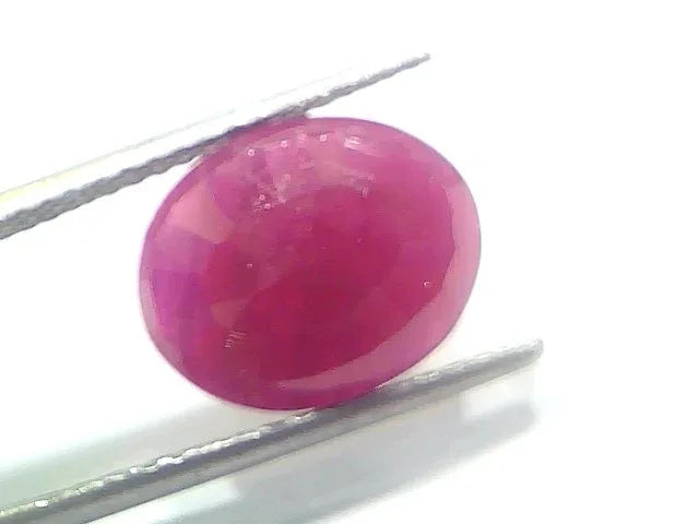 6.30 Ct Certified Unheated Untreated Natural New Burma Ruby - Venus Gems