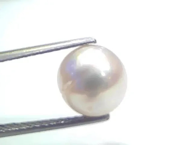 6.11 Ct Natural Certified Real South Sea Pearl Certified Moti - Venus Gems