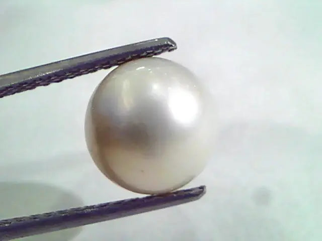 6.35 Ct Natural Certified Real South Sea Pearl,Certified Moti