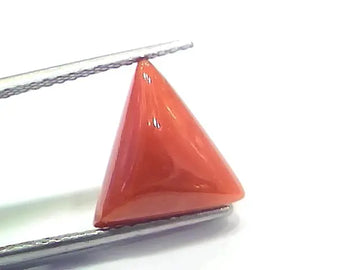 6.40 Ct 7.11 Ratti Natural Italian Triangle Red Coral Moonga Gemstone