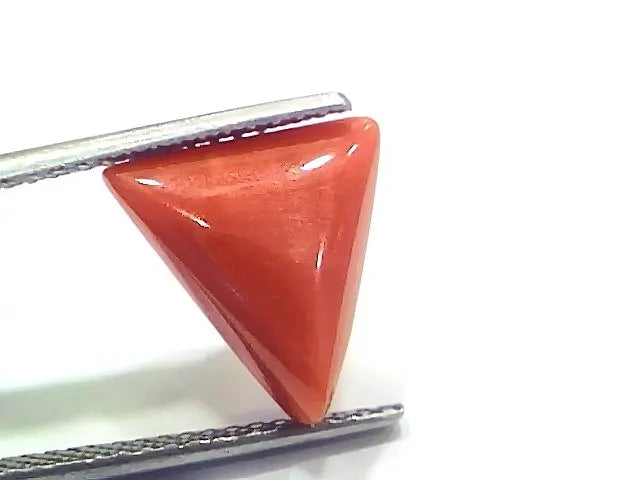 6.40 Ct 7.11 Ratti Natural Italian Triangle Red Coral Moonga Gemstone