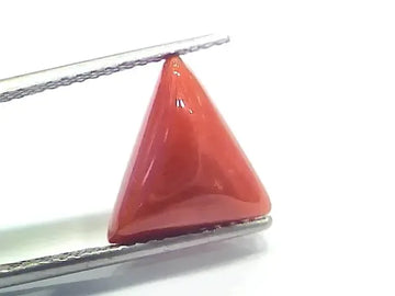 6.41 Ct 7.12 Ratti Natural Italian Triangle Red Coral Moonga Gemstone - Venus Gems