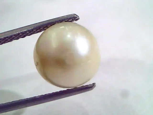 6.44 Ct Natural Certified Real South Sea Pearl,Certified Moti