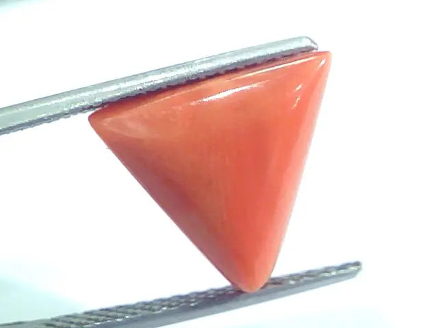 6.43 Ct 10.7 Ratti Natural Italian Triangle Red Coral Moonga Gemstone