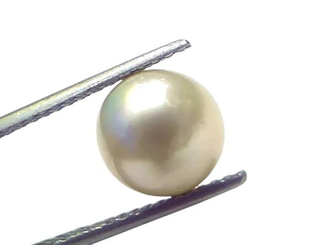 6.45 Ct Natural Certified Real South Sea Pearl Certified Moti - Venus Gems