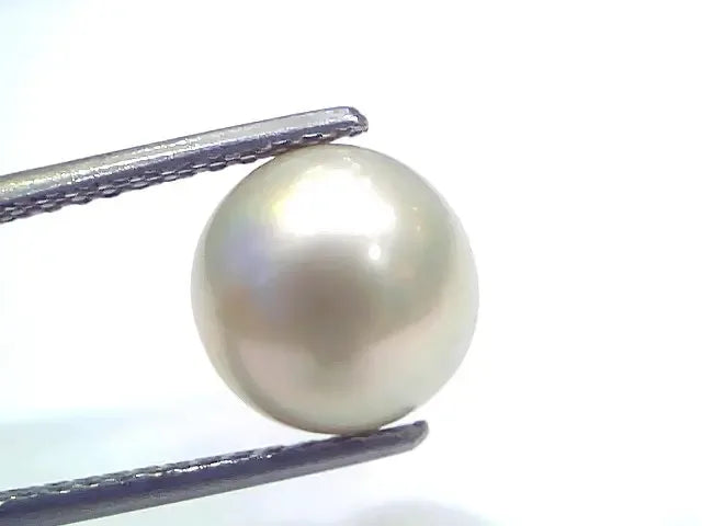 6.44 Ct Natural Certified Real South Sea Pearl Certified Moti - Venus Gems