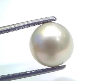 6.44 Ct Natural Certified Real South Sea Pearl Certified Moti - Venus Gems