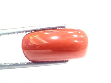 6.42 Ct 10.75 Ratti Natural Italian Red Coral Moonga Gemstone