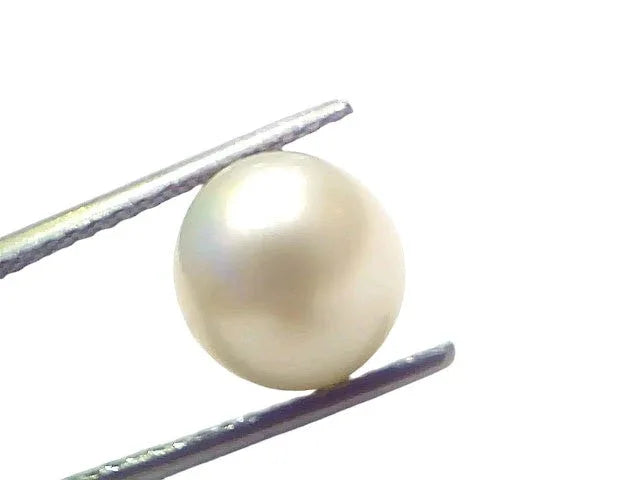 6.52 Ct Natural Certified Real South Sea Pearl Certified Moti - Venus Gems