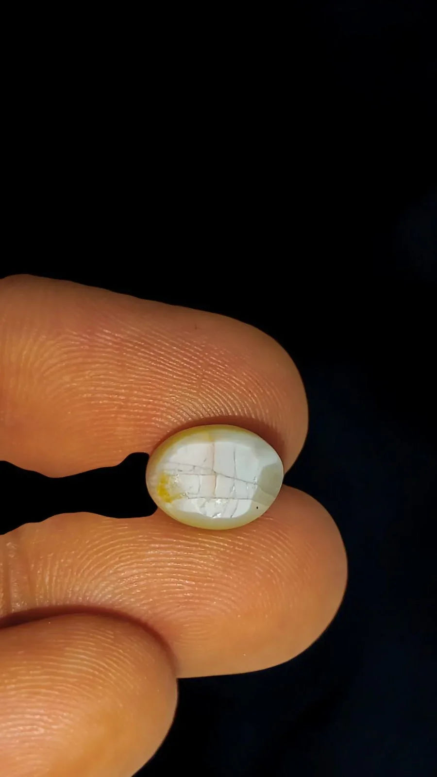 6.54 Ct Certified Untreated Natural Chrysoberyl Cats Eye Lehsunia - Venus Gems