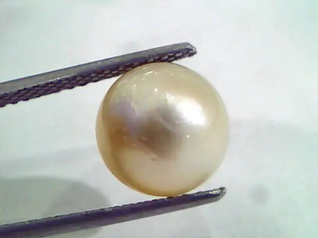 6.57 Ct Natural Certified Real South Sea Pearl,Certified Moti
