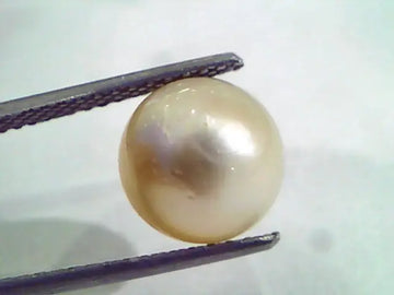 6.57 Ct Natural Certified Real South Sea Pearl,Certified Moti