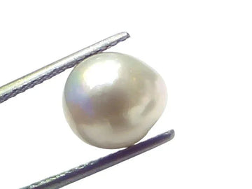 6.55 Ct Natural Certified Real South Sea Pearl Certified Moti - Venus Gems
