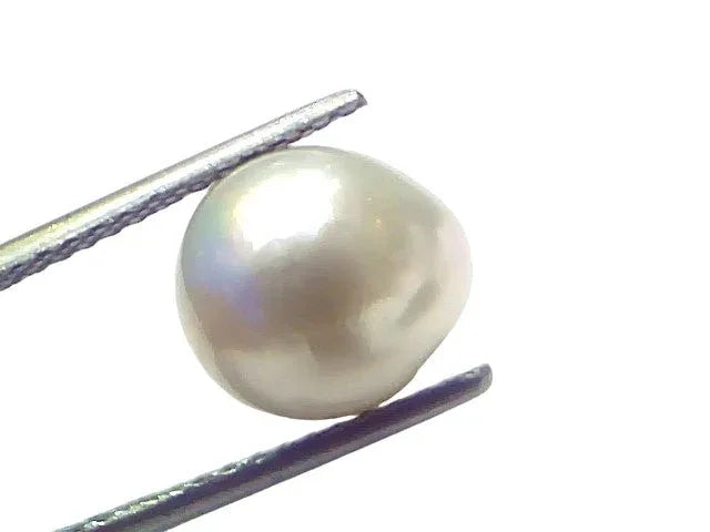 6.55 Ct Natural Certified Real South Sea Pearl Certified Moti - Venus Gems