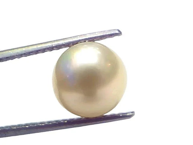 6.57 Ct Natural Certified Real South Sea Pearl Certified Moti - Venus Gems