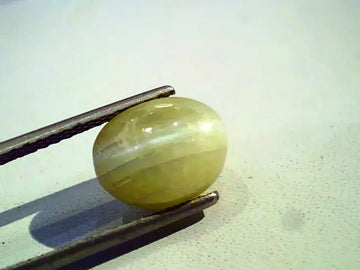 6.56 Ct Certified Untreted Natural Chrysoberyl Cats Eye,Lehsunia