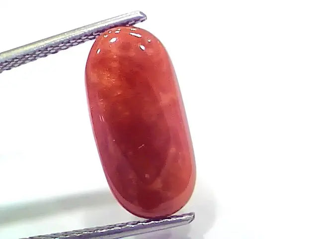 6.58 Ct 10.9 Ratti Natural Italian Red Coral Moonga Gemstone
