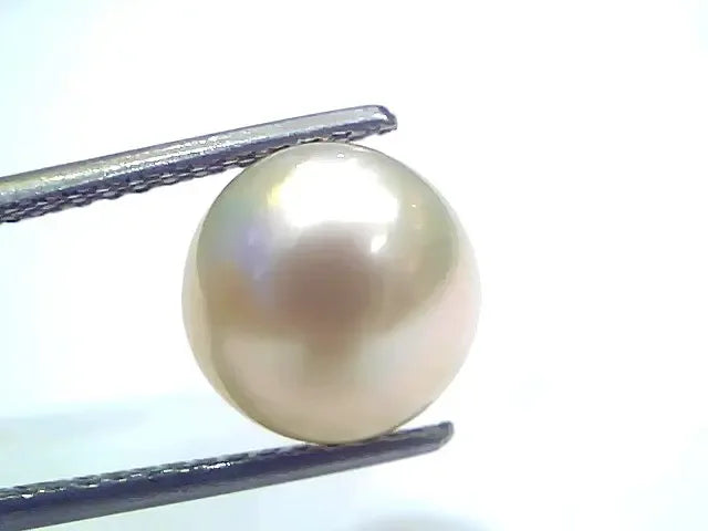 6.63 Ct Natural Certified Real South Sea Pearl Certified Moti - Venus Gems