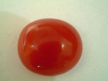 3.90 Ct Untreated Natural Japan Red Coral Gems,Real Moonga