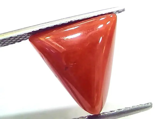 6.61 Ct 11 Ratti Natural Italian Triangle Red Coral Moonga Gemstone