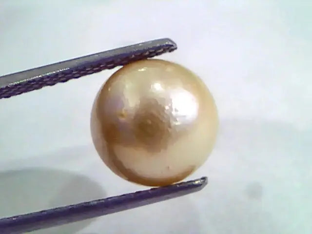 6.68 Ct Natural Certified Real South Sea Pearl,Certified Moti