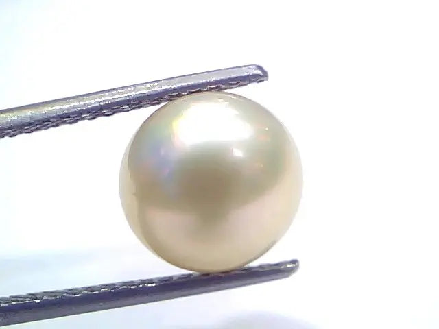 6.64 Ct Natural Certified Real South Sea Pearl Certified Moti