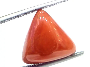 6.70 Ct 11.1 Ratti Natural Italian Triangle Red Coral Moonga Gemstone