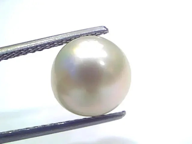 6.72 Ct Natural Certified Real South Sea Pearl Certified Moti - Venus Gems
