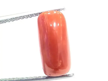 6.68 Ct 7.42 Ratti Natural Italian Red Coral Moonga Gemstone - Venus Gems