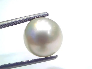 6.83 Ct Natural Certified Real South Sea Pearl Certified Moti