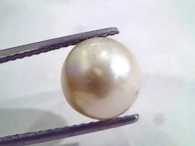 6.82 Ct Natural Certified Real South Sea Pearl,Certified Moti
