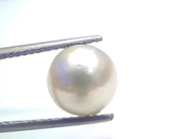 6.80 Ct Natural Certified Real South Sea Pearl Certified Moti - Venus Gems