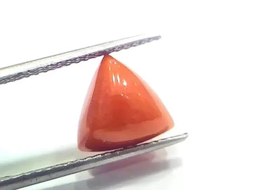 6.85 Ct 7.61 Ratti Natural Italian Triangle Red Coral Moonga Gemstone - Venus Gems