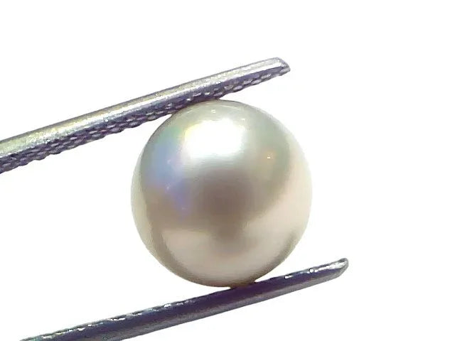 6.88 Ct Natural Certified Real South Sea Pearl Certified Moti - Venus Gems