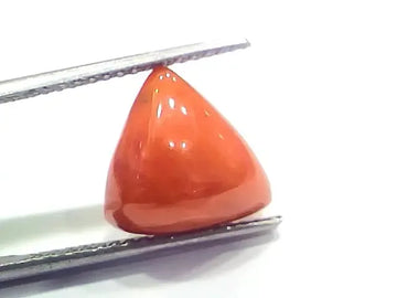 6.94 Ct 7.71 Ratti Natural Italian Triangle Red Coral Moonga Gemstone - Venus Gems