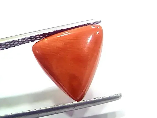 6.94 Ct 7.71 Ratti Natural Italian Triangle Red Coral Moonga Gemstone - Venus Gems