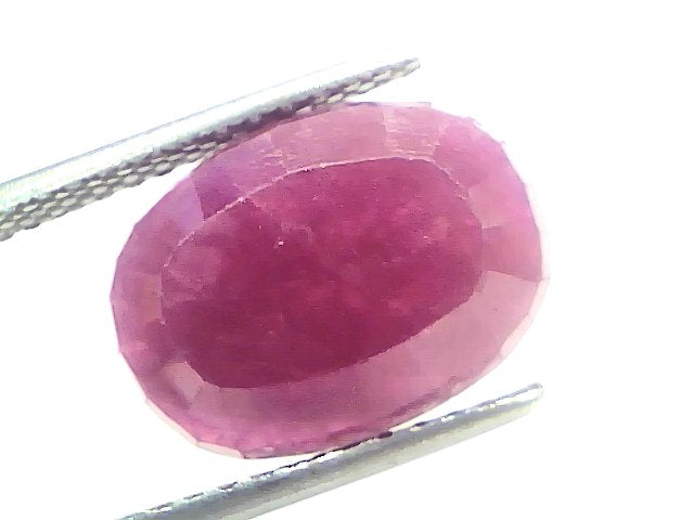 6.90 Ct Certified Unheated Untreated Natural New Burma Ruby 7.58 Ratti Manik